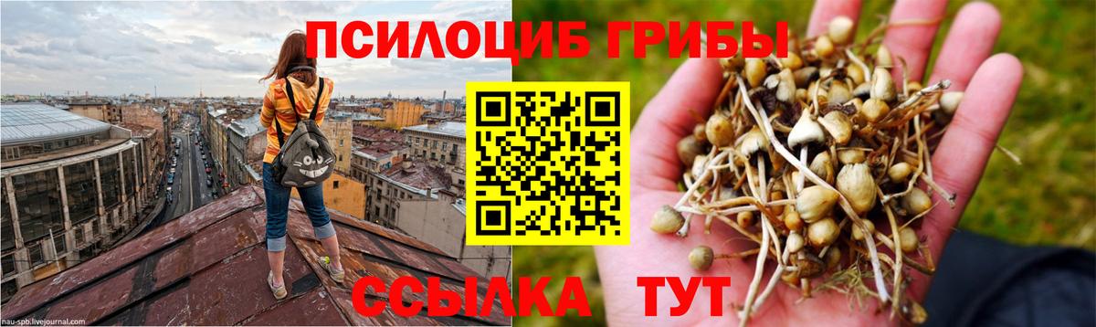 закладка  Вход с VPN  Галлюциногенные грибы Psilocybine cubensis  Рыбинск  Галлюциногенные грибы Psilocybe 